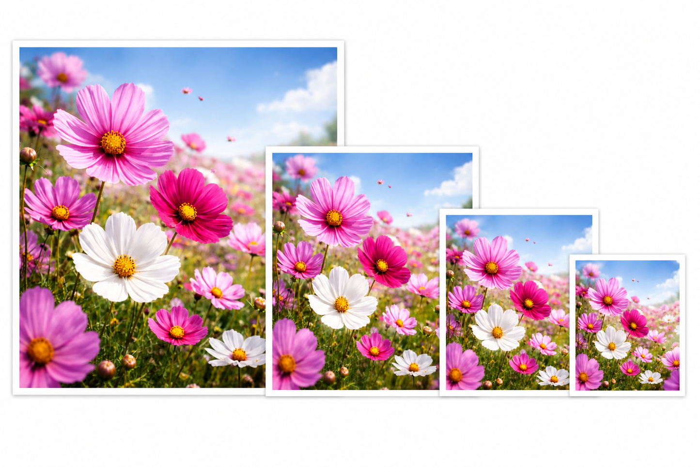 Pretty in Petals
